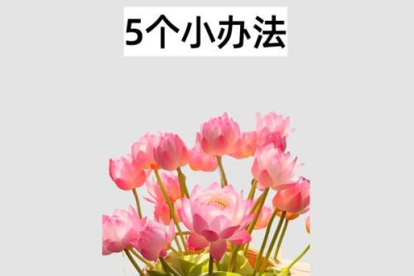 门的名字影响家居风水，选得好财运滚滚来