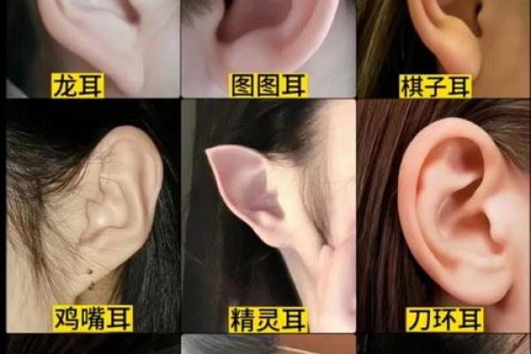 揭秘：耳朵颜色透露惊人命运，面相大师教你一眼识人