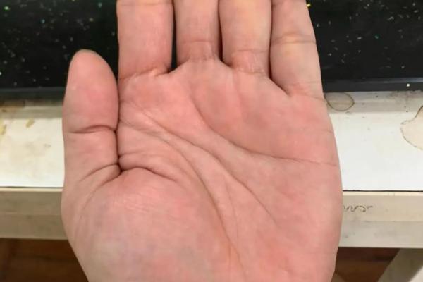 揭秘女性手相：肾区揭秘，健康与运势全掌握