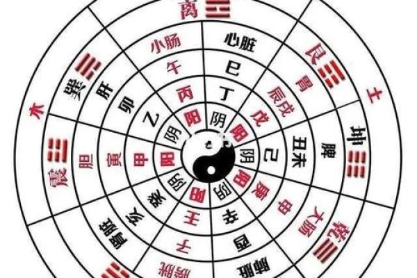 天干地支与五行属性如何影响命运，专家告诉你