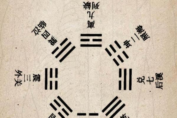 你了解亥天干的真正含义吗？看完让你豁然开朗