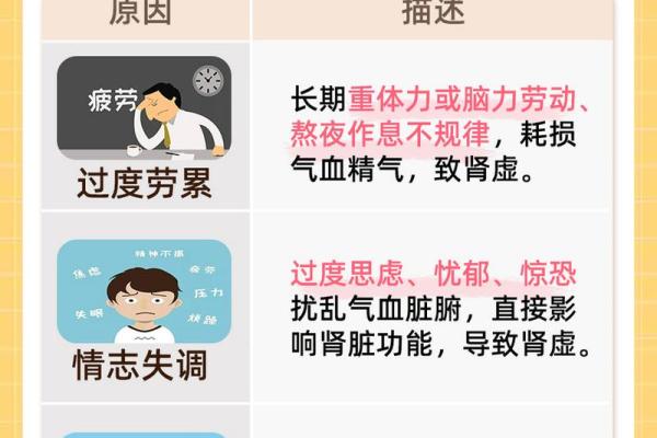 从八字看肾脏虚弱，如何用命理调养