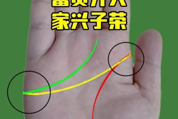 手相3线不相交揭秘：运势非凡的神秘手相，你拥有吗？