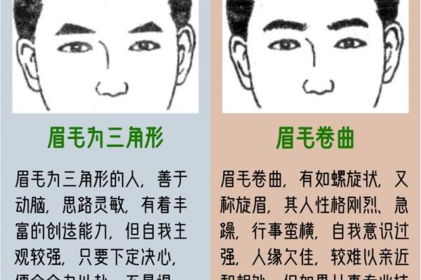 面相揭秘：眉毛寡淡预示的惊人运势