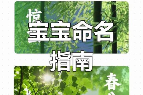 蛇年女孩名字大全与命理解析