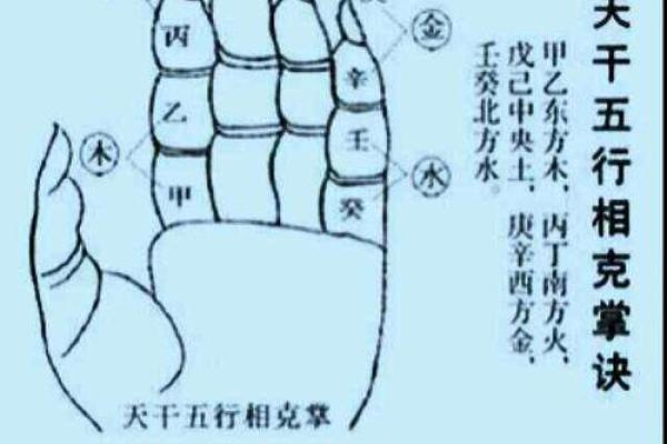 你了解左手天干吗？它对你的人生至关重要