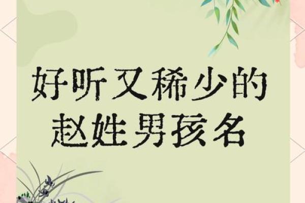 赵姓男孩女孩起名指南：精选名字大全