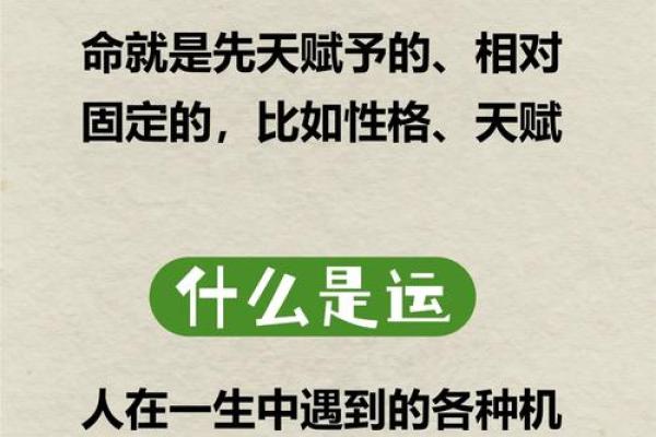 己未辛未丙申命理解析：如何掌握命运的关键