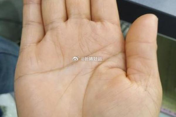 揭秘艺术气质手相：探寻命运与天赋的奥秘