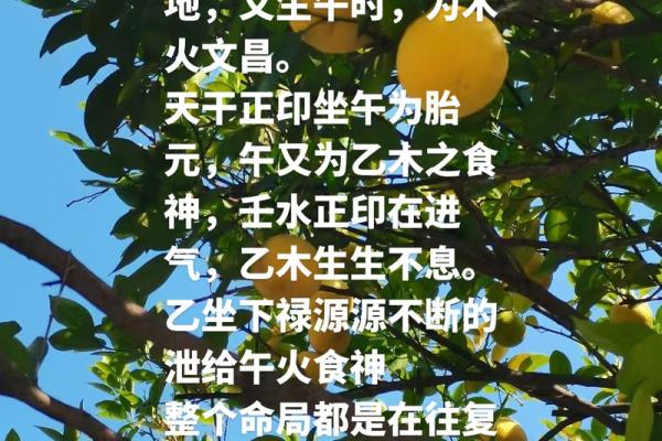乙木天干如何与支互动产生影响
