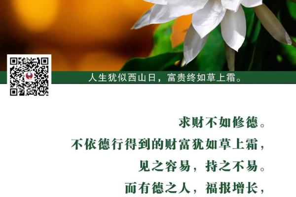 月德在八字中的作用：助你走向更好运的秘诀