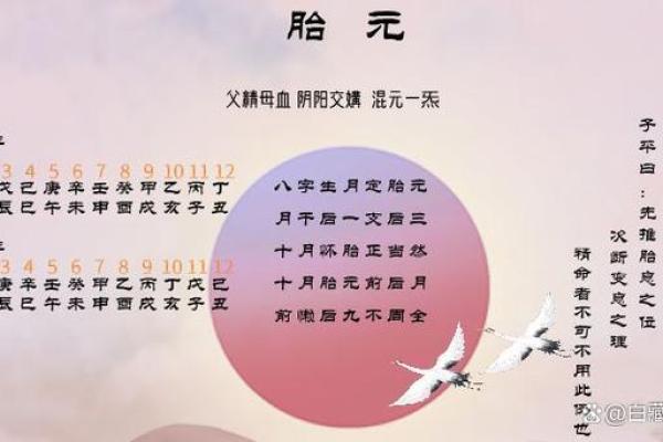 掌握易经八字四柱排盘，揭开命运的神秘面纱