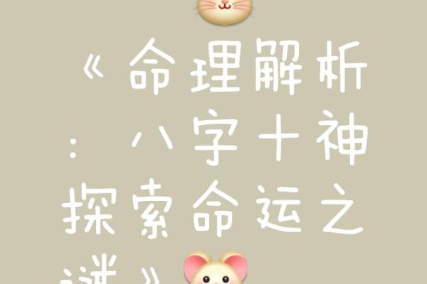 探索命理学，开启你的命运密码