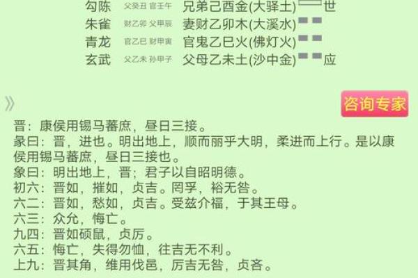 六爻排盘宝不准？揭秘背后的真相与解决方案