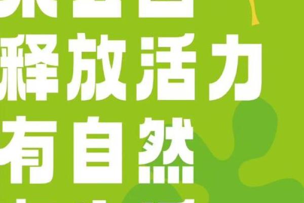用心取名字，打造独特公园新魅力