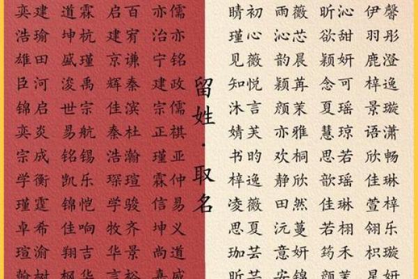 夏日出生宝宝的名字，带来无限阳光与希望