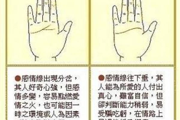 揭秘女性手相婚姻线：读懂你的爱情命运