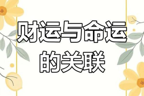 赵氏实战命理揭秘：如何通过命理改变人生轨迹