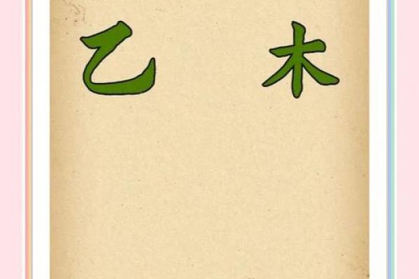 揭秘乙木命：你的生命密码，解锁命运之门