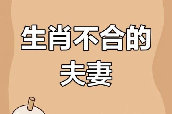 龙蛇配对：天生绝配还是命里无缘？