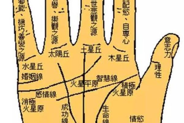 掌中财富之路：揭秘手相三主线，掌握财运密码