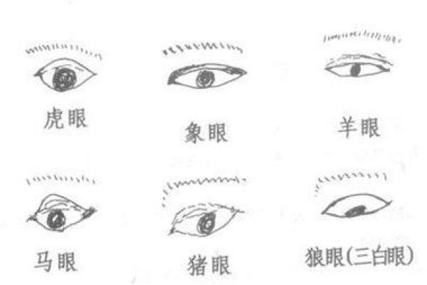 面相揭秘：一眼识破生死命运，你的面相预示着什么？