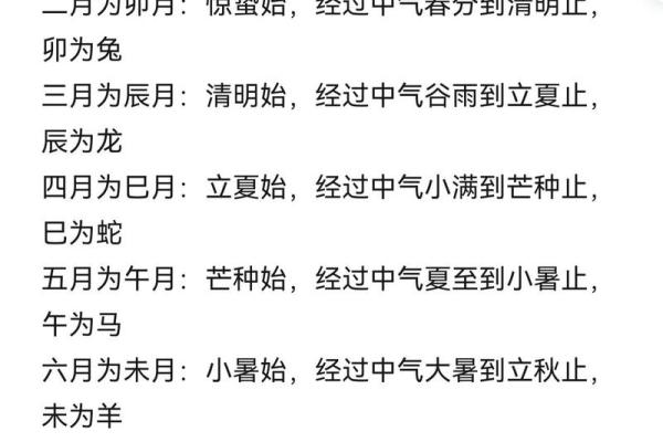 十天干的秘密：掌握基础知识，提升命理分析力