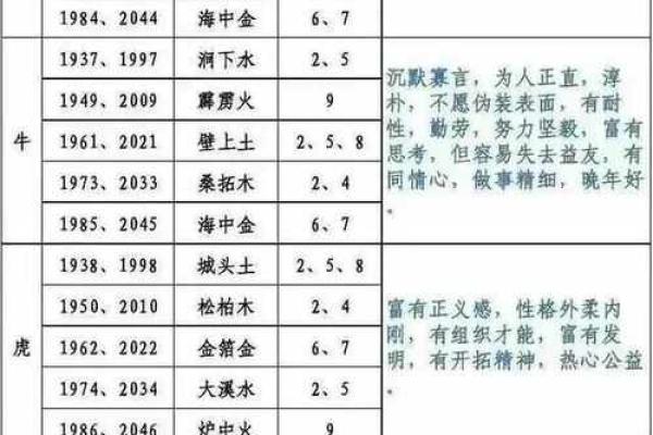 如何通过五行分析发现自己的命运密码