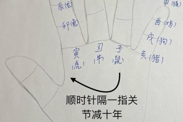 小孩八字命理分析：如何根据孩子八字选择合适的教育方式