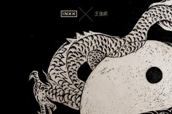 鸡龙组合：传统与现代的完美融合