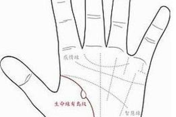 免费手相看命运，一招揭秘你的未来运势