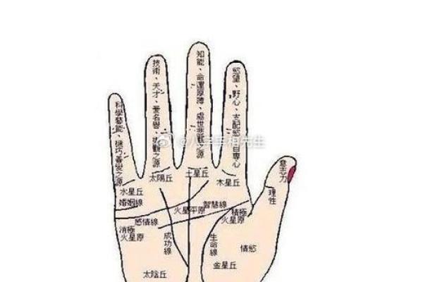 免费手相看命运，一招揭秘你的未来运势