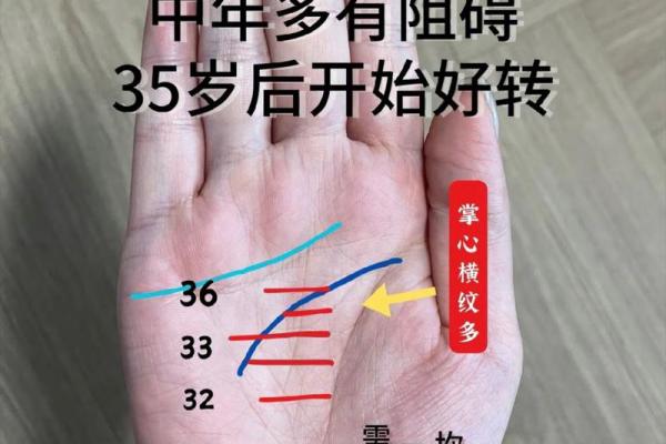揭秘：看手相真的有年龄限制？权威揭秘让你瞬间读懂手相密码