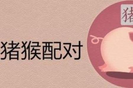 猪兔相配，幸福指数飙升？