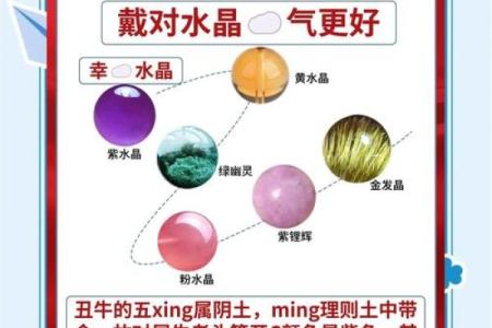 属牛五行属什么？解读牛年命理奥秘
