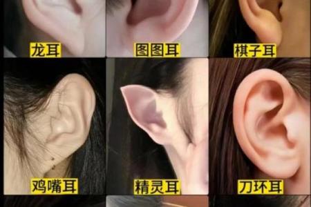 揭秘：耳朵颜色透露惊人命运，面相大师教你一眼识人