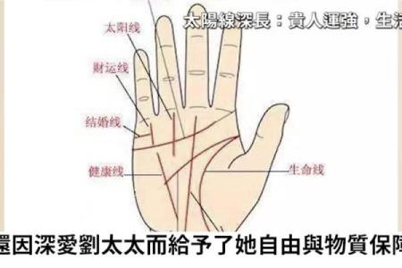 揭秘女性手相：肾区揭秘，健康与运势全掌握