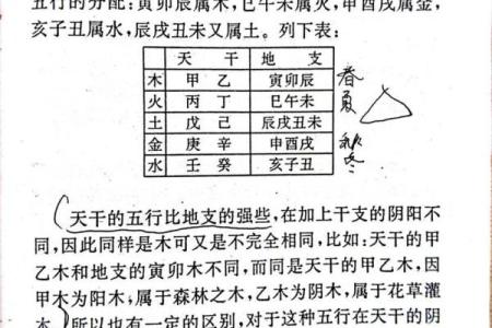 天干地支与五行属性如何影响命运，专家告诉你
