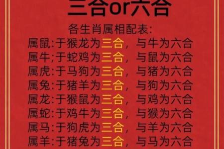 十二生肖狗羊配对，究竟是天作之合还是另有隐情？