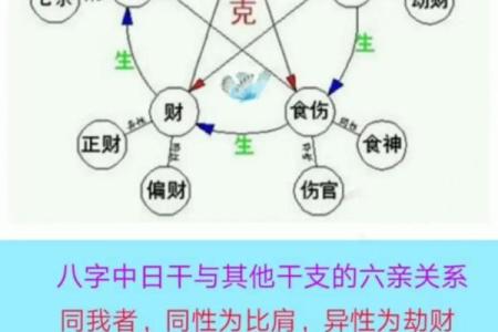 从八字十神看你的一生运势变化