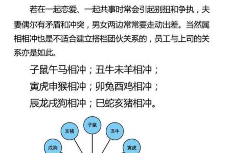 龙兔配对：揭秘最佳生肖情侣组合