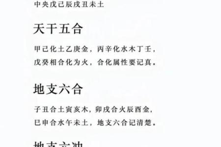 探索坐支天干地支与五行之间的神秘关系