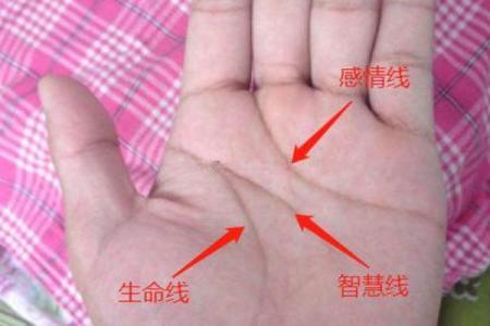手相3线不相交揭秘：运势非凡的神秘手相，你拥有吗？