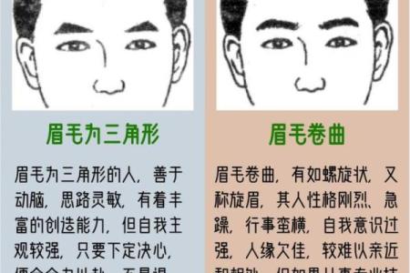 面相揭秘：眉毛寡淡预示的惊人运势