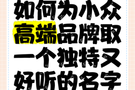 如何通过公司起名字网站轻松打造品牌独特性