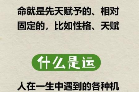 己未辛未丙申命理解析：如何掌握命运的关键