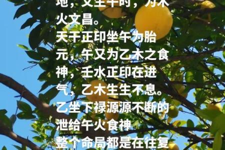 乙木天干如何与支互动产生影响
