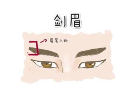 了解八字眉面相：你是否拥有成功的面相特征？
