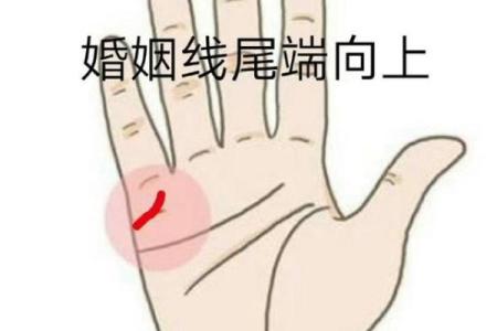 婚姻线短，注定爱情路坎坷？揭秘手相婚姻线长短的惊人秘密