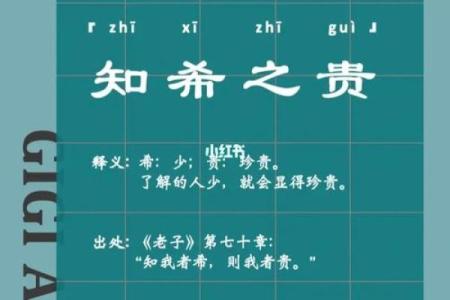 独具创意！这些成语起名技巧不可错过